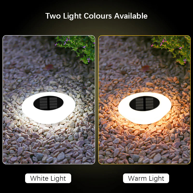 Solar Ground Garden Lights