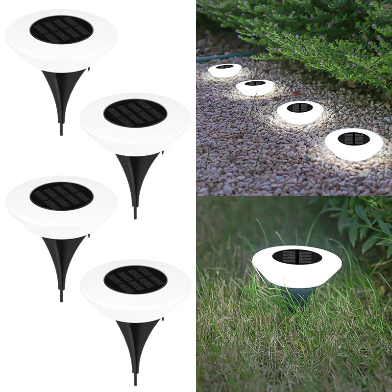 Solar Ground Garden Lights