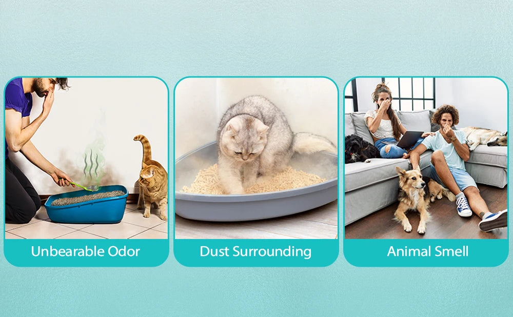 Smart Pet Litter Box Deodorizer