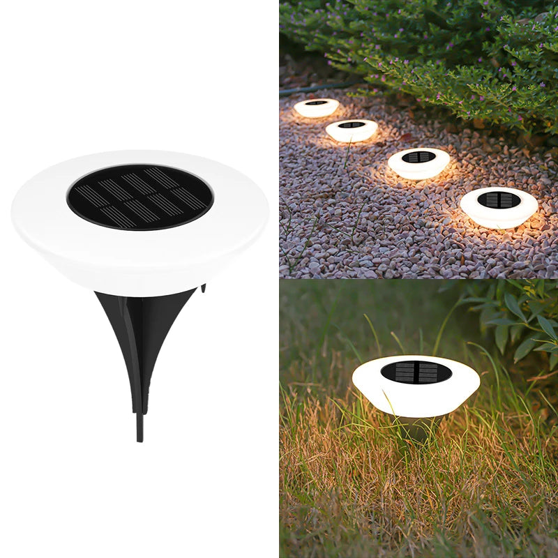 Solar Ground Garden Lights